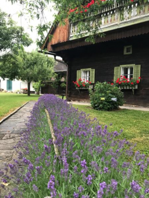 Bauernhaus Süd- West- Steiermark am Radweg für die Familie & FreundInnen
